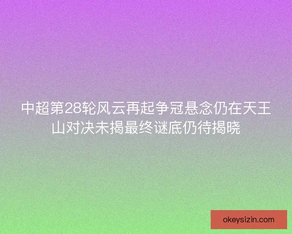 中超第28轮风云再起争冠悬念仍在天王山对决未揭最终谜底仍待揭晓