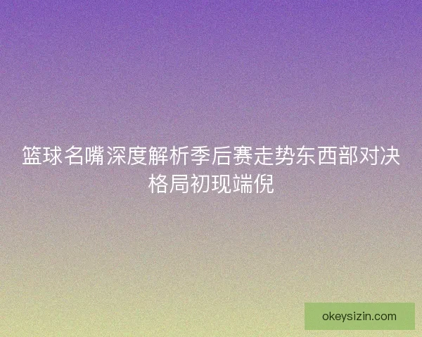 篮球名嘴深度解析季后赛走势东西部对决格局初现端倪