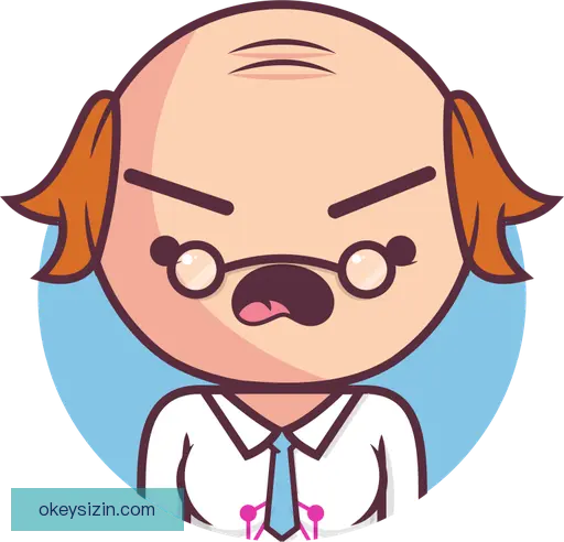 韶靓影